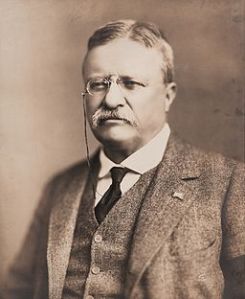 Theodore Roosevelt, 1918